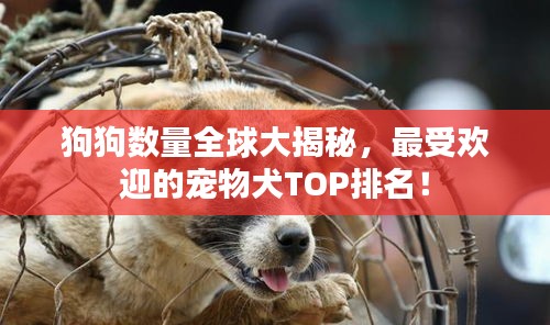 狗狗數(shù)量全球大揭秘，最受歡迎的寵物犬TOP排名！