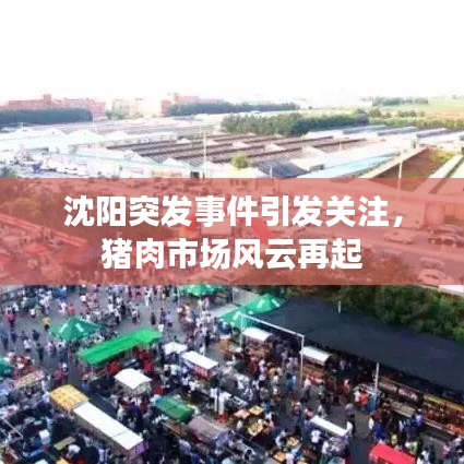 沈陽(yáng)突發(fā)事件引發(fā)關(guān)注，豬肉市場(chǎng)風(fēng)云再起