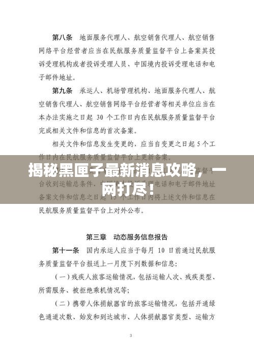 揭秘黑匣子最新消息攻略，一網(wǎng)打盡！