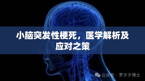 小腦突發(fā)性梗死，醫(yī)學(xué)解析及應(yīng)對(duì)之策