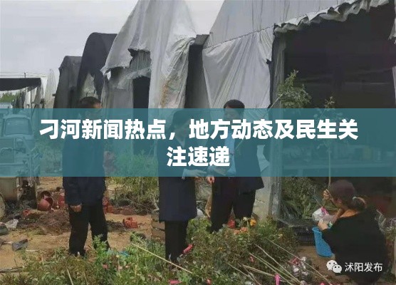 刁河新聞熱點，地方動態(tài)及民生關注速遞