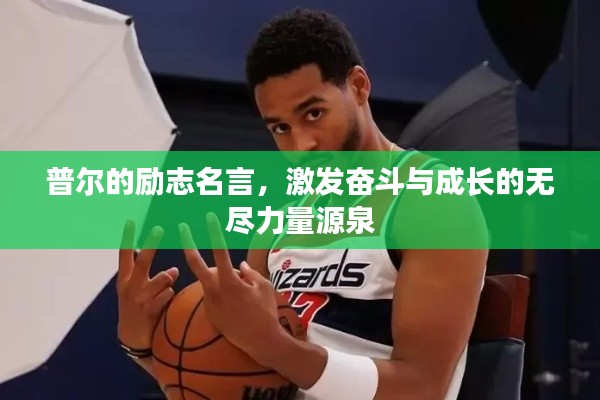 普爾的勵(lì)志名言，激發(fā)奮斗與成長(zhǎng)的無盡力量源泉