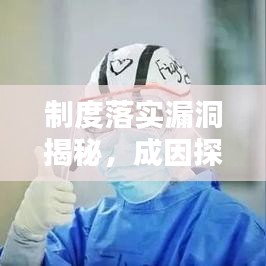 制度落實漏洞揭秘，成因探究與應對策略之道