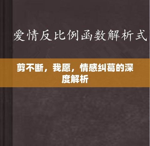 剪不斷，我愿，情感糾葛的深度解析