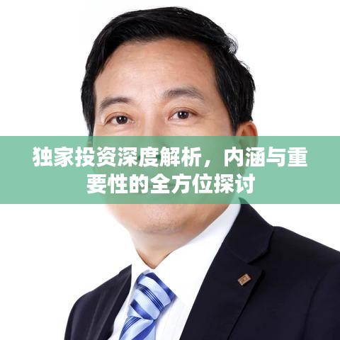 獨(dú)家投資深度解析，內(nèi)涵與重要性的全方位探討