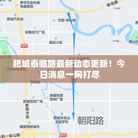 肥城泰臨路最新動(dòng)態(tài)更新！今日消息一網(wǎng)打盡