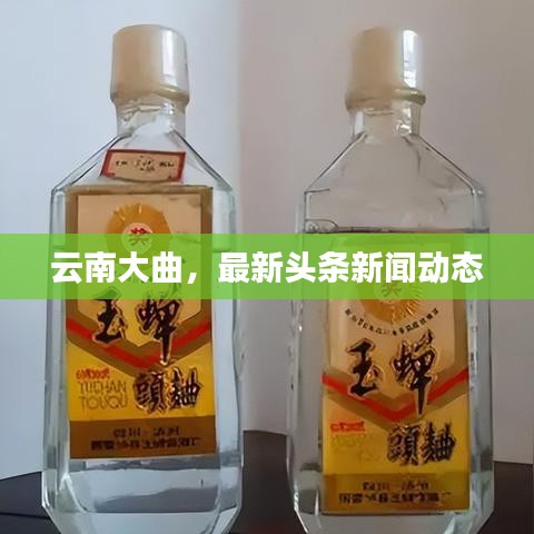云南大曲，最新頭條新聞動(dòng)態(tài)