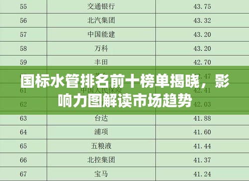 國標水管排名前十榜單揭曉，影響力圖解讀市場趨勢