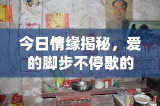 今日情緣揭秘，愛的腳步不停歇的最新動態(tài)