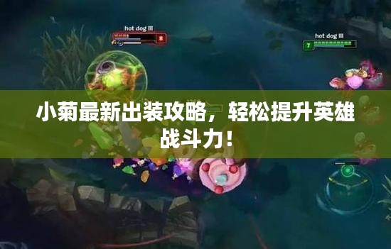 小菊最新出裝攻略，輕松提升英雄戰(zhàn)斗力！