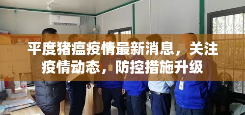 平度豬瘟疫情最新消息，關(guān)注疫情動態(tài)，防控措施升級