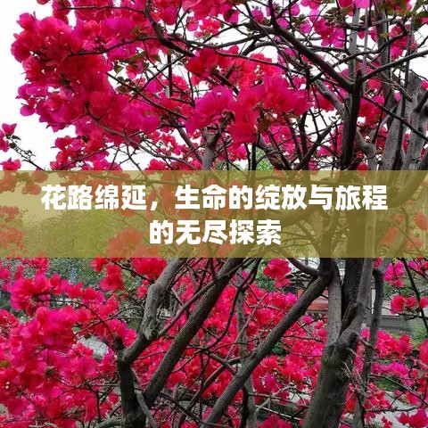 花路綿延，生命的綻放與旅程的無(wú)盡探索
