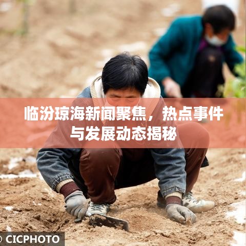 臨汾瓊海新聞聚焦，熱點事件與發(fā)展動態(tài)揭秘