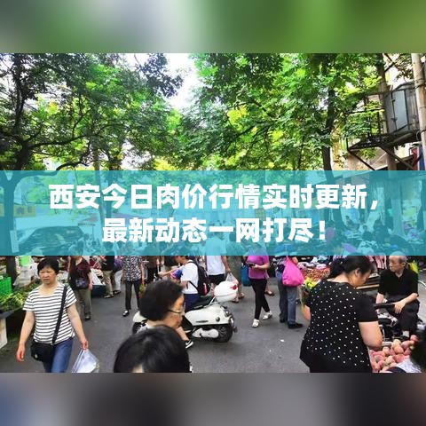 西安今日肉價(jià)行情實(shí)時(shí)更新，最新動(dòng)態(tài)一網(wǎng)打盡！
