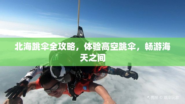 北海跳傘全攻略，體驗(yàn)高空跳傘，暢游海天之間