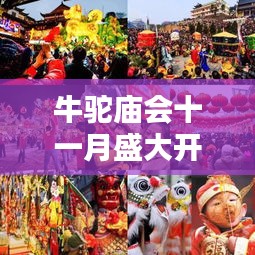 牛駝廟會(huì)十一月盛大開放，最新消息揭秘活動(dòng)安排