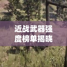 近戰(zhàn)武器強(qiáng)度榜單揭曉，前十名武器實(shí)力比拼！