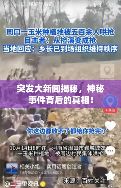 突發(fā)大新聞揭秘，神秘事件背后的真相！
