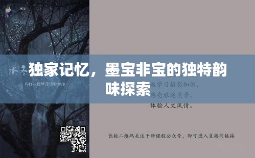 獨家記憶，墨寶非寶的獨特韻味探索