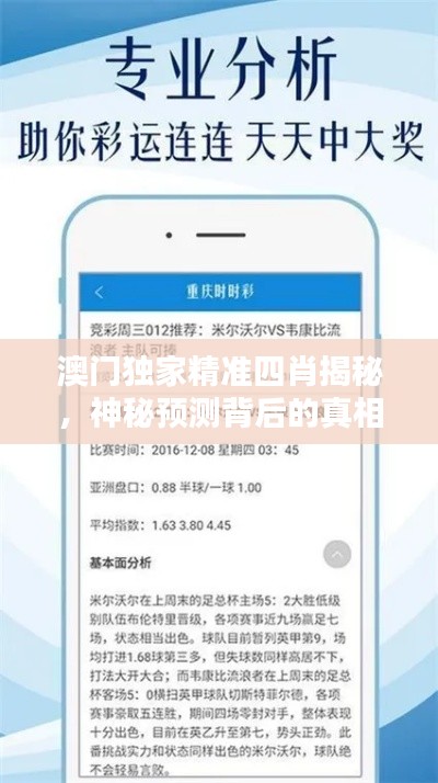 第511頁