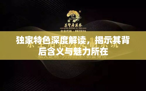 獨(dú)家特色深度解讀，揭示其背后含義與魅力所在