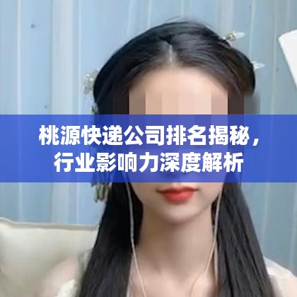 桃源快遞公司排名揭秘，行業(yè)影響力深度解析