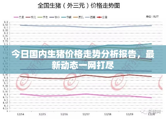 今日國內(nèi)生豬價(jià)格走勢分析報(bào)告，最新動(dòng)態(tài)一網(wǎng)打盡