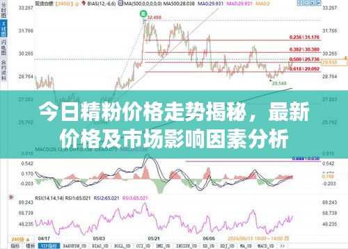 今日精粉價(jià)格走勢(shì)揭秘，最新價(jià)格及市場(chǎng)影響因素分析