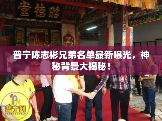 普寧陳志彬兄弟名單最新曝光，神秘背景大揭秘！