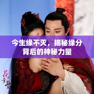 今生緣不滅，揭秘緣分背后的神秘力量