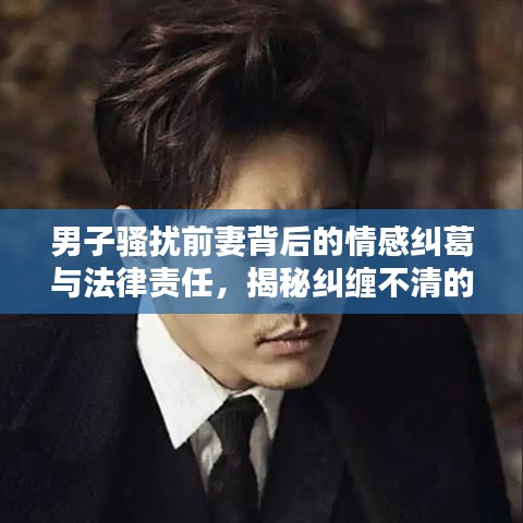 男子騷擾前妻背后的情感糾葛與法律責(zé)任，揭秘糾纏不清的法律紅線