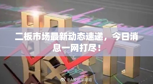 二板市場(chǎng)最新動(dòng)態(tài)速遞，今日消息一網(wǎng)打盡！