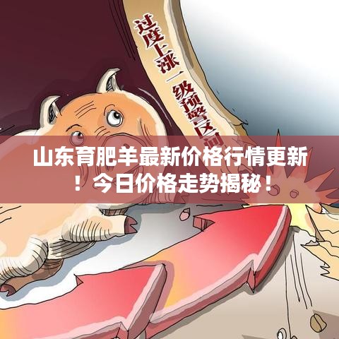 山東育肥羊最新價格行情更新！今日價格走勢揭秘！