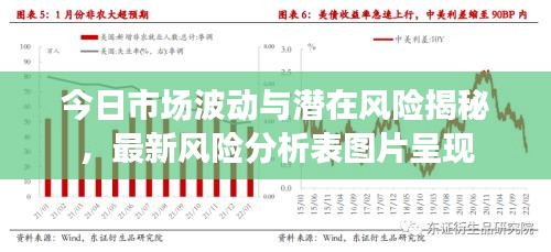 今日市場(chǎng)波動(dòng)與潛在風(fēng)險(xiǎn)揭秘，最新風(fēng)險(xiǎn)分析表圖片呈現(xiàn)