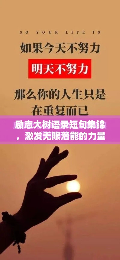 勵志大樹語錄短句集錦，激發(fā)無限潛能的力量之語