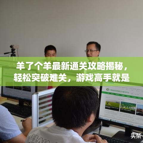 羊了個(gè)羊最新通關(guān)攻略揭秘，輕松突破難關(guān)，游戲高手就是你！