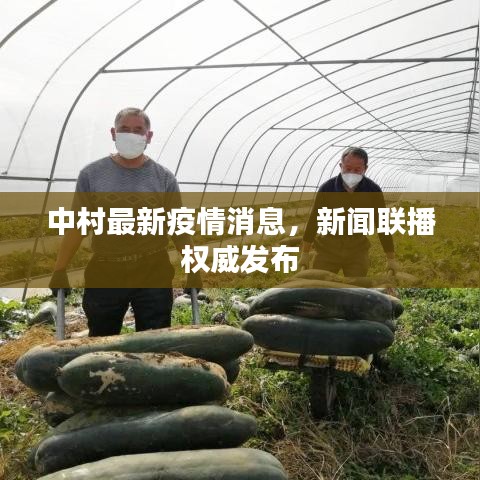 中村最新疫情消息，新聞聯(lián)播權(quán)威發(fā)布