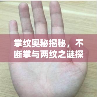 掌紋奧秘揭秘，不斷掌與兩紋之謎探秘