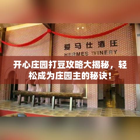 開心莊園打豆攻略大揭秘，輕松成為莊園主的秘訣！