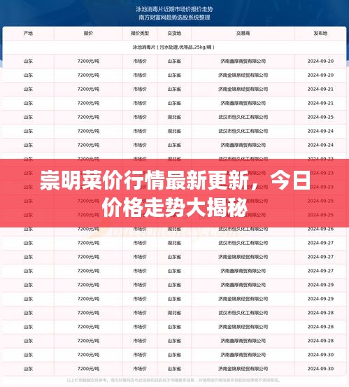 崇明菜價行情最新更新，今日價格走勢大揭秘