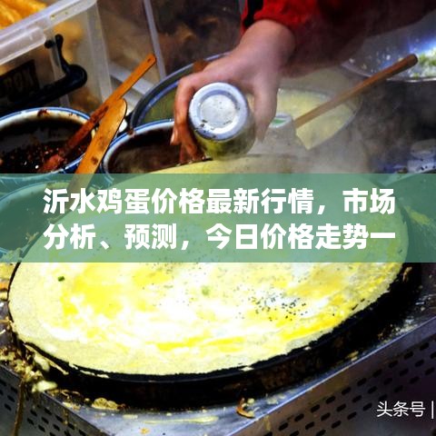 沂水雞蛋價格最新行情，市場分析、預(yù)測，今日價格走勢一網(wǎng)打盡！