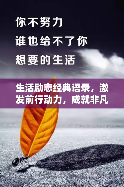 生活勵(lì)志經(jīng)典語錄，激發(fā)前行動(dòng)力，成就非凡人生