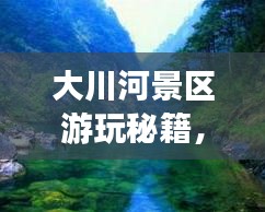 大川河景區(qū)游玩秘籍，暢游美景，盡享樂趣！