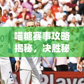 喵糖賽事攻略揭秘，決勝秘訣助你輕松奪冠！