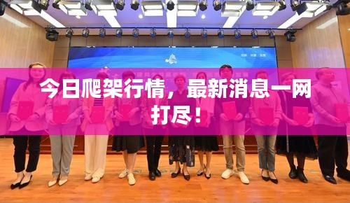 今日爬架行情，最新消息一網(wǎng)打盡！