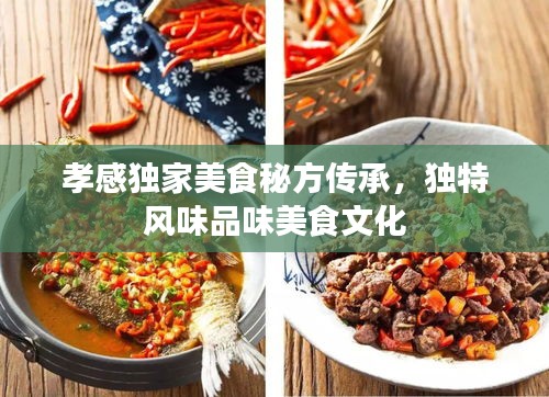 孝感獨家美食秘方傳承，獨特風(fēng)味品味美食文化