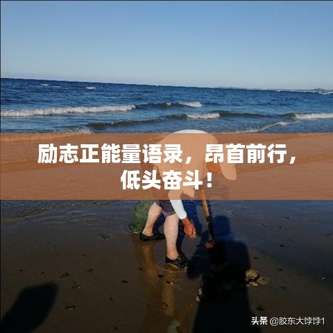 勵志正能量語錄，昂首前行，低頭奮斗！