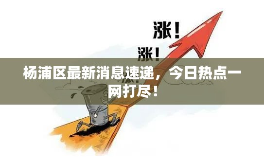 楊浦區(qū)最新消息速遞，今日熱點一網(wǎng)打盡！