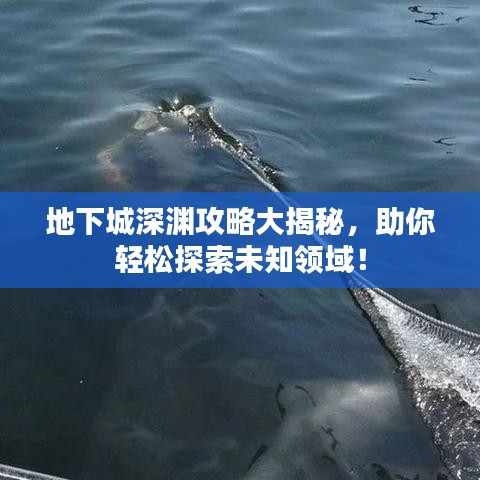 地下城深淵攻略大揭秘，助你輕松探索未知領(lǐng)域！