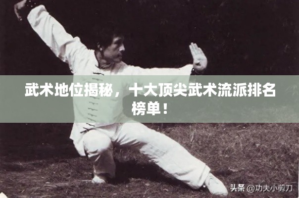 武術地位揭秘，十大頂尖武術流派排名榜單！